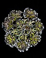 Queen Anne's Lace Hair Ornament, Designed by Louis C. Tiffany (American, New York 1848–1933 New York), Silver, copper, opals, demantoid garnets, garnets, and enamel, American