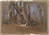 Woodland Interior, Louis C. Tiffany (American, New York 1848–1933 New York), Watercolor and gouache on tan paper, American