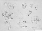 Studies of Sheep, Walter Shirlaw (American, Paisley, Scotland 1838–1909 Madrid), Graphite on off-white wove paper, American