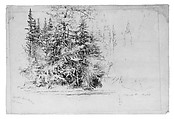 Ausable River, Homer Dodge Martin (American, Albany, New York 1836–1897 St. Paul, Minnesota), Graphite on green wove paper, American