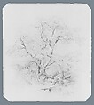 Boy Fishing (from McGuire Scrapbook), James G. Clonney (1812–1867), Graphite on off-white wove paper, American