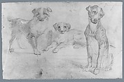 Dogs (from McGuire Scrapbook), Graphite on off-white laid paper, American