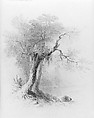 Landscape (from McGuire Scrapbook), Asher Brown Durand (American, Jefferson, New Jersey 1796–1886 Maplewood, New Jersey), Graphite on white wove paper, American