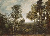 Landscape, Ralph Albert Blakelock  American, Oil on canvas, American
