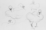 Swans, John Singer Sargent (American, Florence 1856–1925 London), Graphite on off-white wove paper, American
