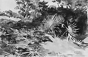 Landscape with Palmettos, John Singer Sargent (American, Florence 1856–1925 London), Watercolor and graphite on white wove paper, American