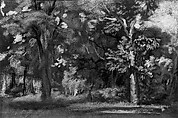 Trees, Arthur B. Davies (American, Utica, New York 1862–1928 Florence), Pastel on black wove paper, American