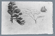 Pine Tree, Dogwood, and Sailboat, Arthur B. Davies  American, Pastel on gray Japanese paper, American