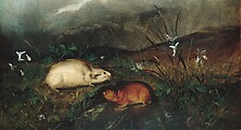Hudson's Bay Lemming, John Woodhouse Audubon  American, Oil on canvas, American