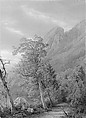Eagle's Nest, Franconia Notch, William Trost Richards (American, Philadelphia, Pennsylvania 1833–1905 Newport, Rhode Island), Watercolor, gouache, and graphite on light tan wove paper., American