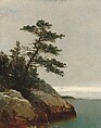 The Old Pine, Darien, Connecticut, John Frederick Kensett American, Oil on canvas, American