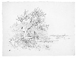 Chiem See, Germany, Andrew Fisher Bunner (1841–1897), Black ink and graphite traces on off-white wove paper, American