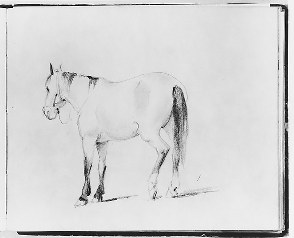 Horse (from Sketchbook)
