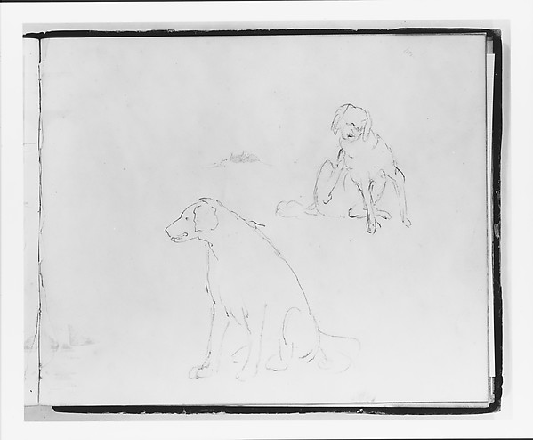 Two Studies of a Dog: Seated and Scratching (from Sketchbook)