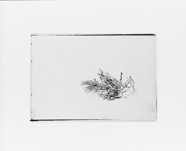 Nature Study (from Sketchbook X) by William Trost Richards, The Metropolitan Museum of Art
