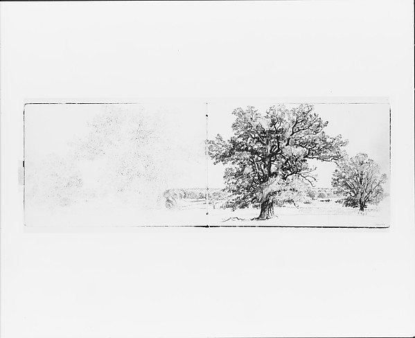 Landscape with Trees (from Sketchbook VII)
