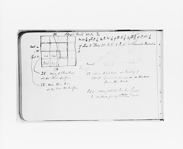 Geographical and Geological Notes on Skagit County, Washington (from Sketchbook) by Albert Bierstadt