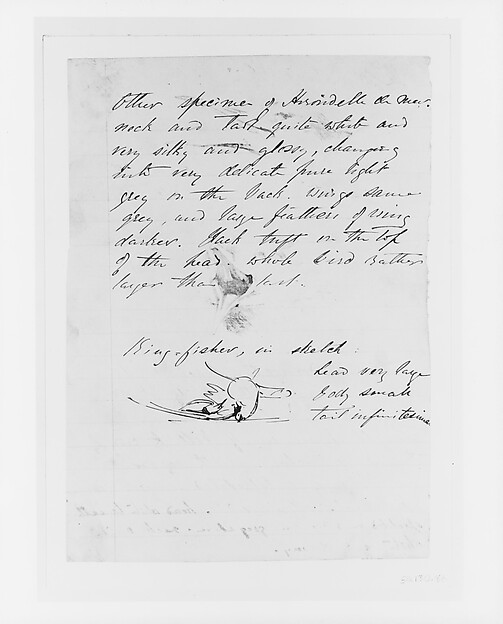Seagull, Kingfisher by John Singer Sargent, The Metropolitan Museum of Art