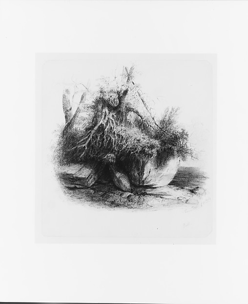 Portrait of Smith, John Rubens