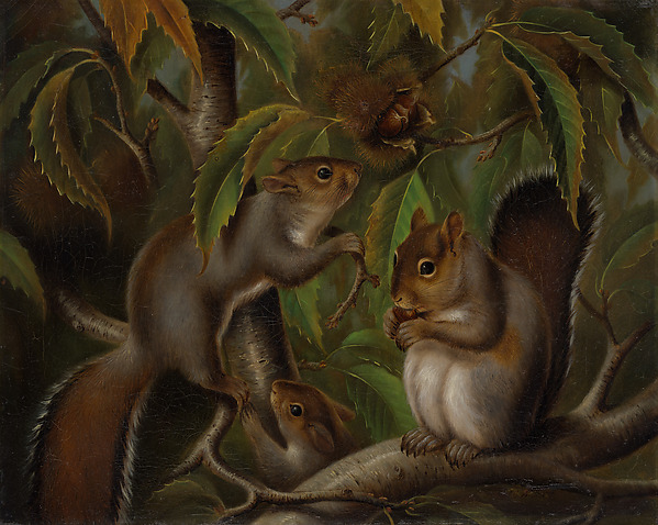 Untitled (Squirrels in a Chestnut Tree)
