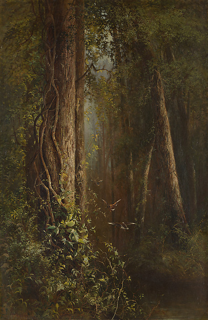 Ducks in the Woods, Julie Hart Beers, 1875