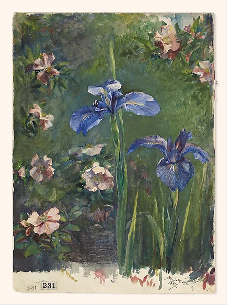 Wild Roses and Irises by John La Farge, The Metropolitan Museum of Art