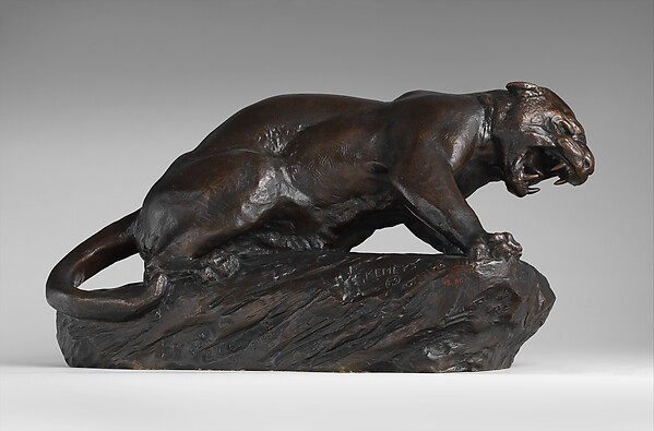 A Jaguar