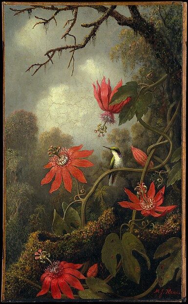 Hummingbird and Passionflowers, Martin Johnson Heade, ca. 1875–85