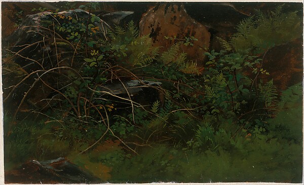 Study from Nature