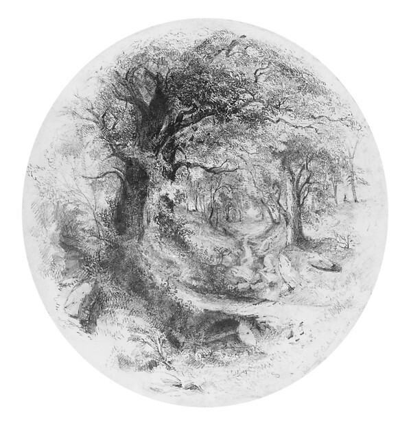 Interior of Woods with Small Stream (from Cropsey Album) by William Trost Richards, The Metropolitan Museum of Art
