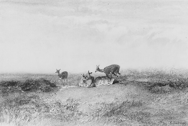 Deer in a Landscape by Karl Bodmer, The Metropolitan Museum of Art