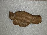 Cuneiform tablet: Shumma izbu, tablet 5, Clay, Seleucid