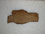 Cuneiform tablet: Shumma izbu, tablet 5, Clay, Seleucid