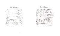 Cuneiform tablet: record of bovine disbursements, Clay, Neo-Sumerian