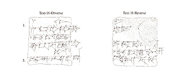 Cuneiform tablet: receipt of cattle, Clay, Neo-Sumerian