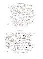 Cuneiform tablet: commercial note concerning caravan expenses, Clay, Old Assyrian Trading Colony