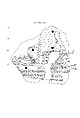 Cuneiform tablet: im-ma-al-(la) gu de-de, balag, Clay, Seleucid