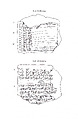 Cuneiform tablet: Shumma alu, tablet 17, Clay