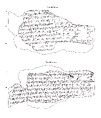 Cuneiform tablet: Shumma izbu, tablet 5, Clay, Seleucid