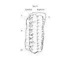 Cuneiform tablet: fragment of Syllabary B, Clay