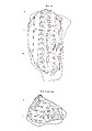 Cuneiform tablet: fragment of a table of reciprocals, Clay