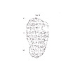 Cuneiform tablet: fragment of a list of ziqpu-stars, Clay