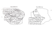 Cuneiform tablet: field lease, Esagilaya archive, Clay, Achaemenid