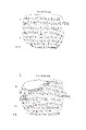 Cuneiform tablet: promissory note for dates, Egibi archive, Clay, Achaemenid