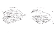 Cuneiform tablet: receipt for dates, Clay, Achaemenid