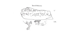 Cuneiform tablet impressed with three seals: fragment, content uncertain, Clay, Achaemenid
