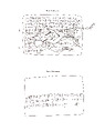 Cuneiform tablet: promissory note for silver, Ebabbar archive, Clay, Assyrian