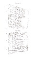 Cuneiform tablet: account, Ebabbar archive, Clay, Babylonian