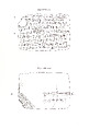 Cuneiform tablet: animal inventory from the reign of Nabopolassar or Nebuchadnezzar II, Ebabbar archive, Clay, Babylonian