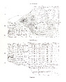 Cuneiform tablet: account of dates as imittu-rent with sissinnu-payments, Ebabbar archive, Clay, Babylonian